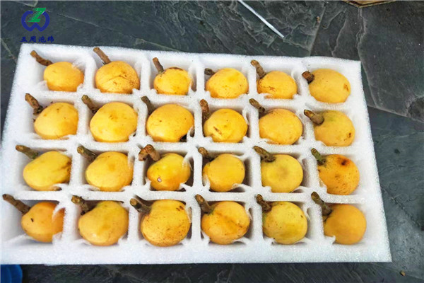 水果內(nèi)托的定做材料對(duì)人體有害嗎？