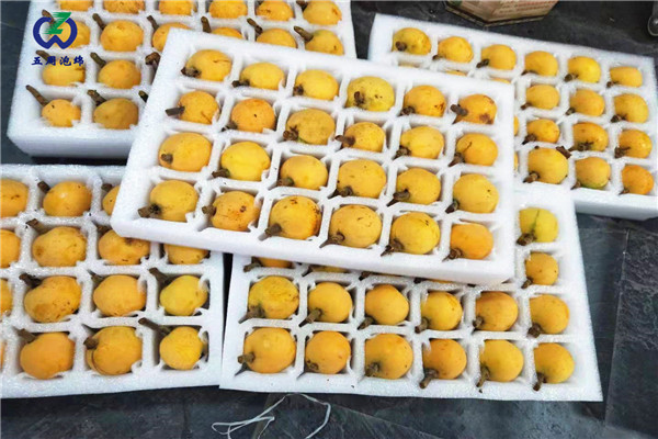 常見的水果內(nèi)托定做材料是什么？